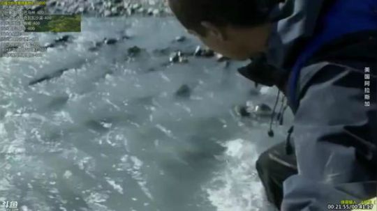 户外遛狗王飞哥发布了一个斗鱼视频2019-03-29