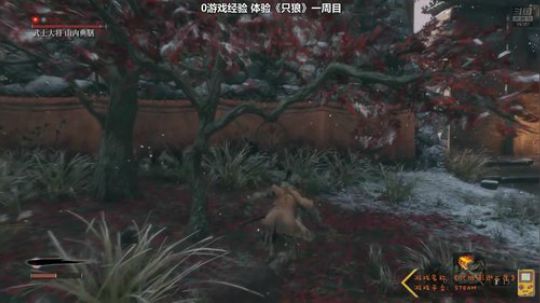 【Cat】只狼全成就白金之路 2019-03-29 16点场