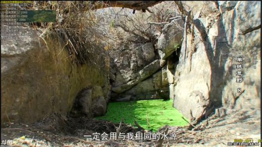 护法惊丶发布了一个斗鱼视频2019-03-29