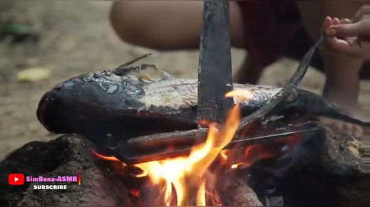 【野炊姐妹】 美丽女孩烹饪大鲶鱼