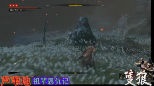 只狼~电光石火 2019-03-29 16点场
