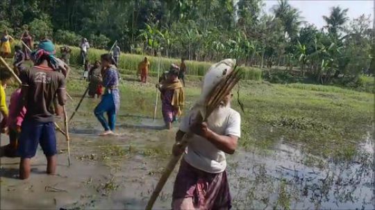 【印度美食】100个快乐村民的有趣的捕鱼活动