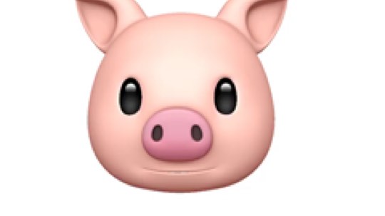 大泡泡Y发布了一个斗鱼视频2019-03-30