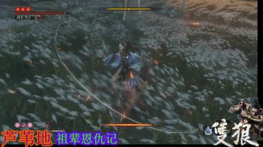 只狼~电光石火 2019-03-29 23点场