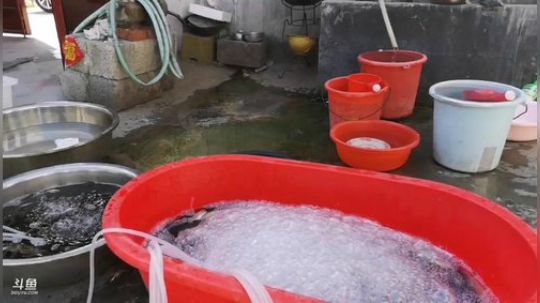 丿Good丶发布了一个斗鱼视频2019-03-30