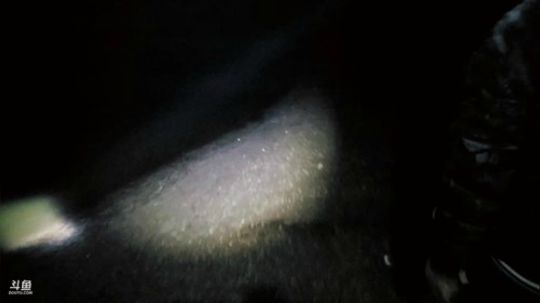 王者钓麻鳝 2019-03-28 21点场