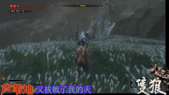 只狼~电光石火 2019-03-30 11点场