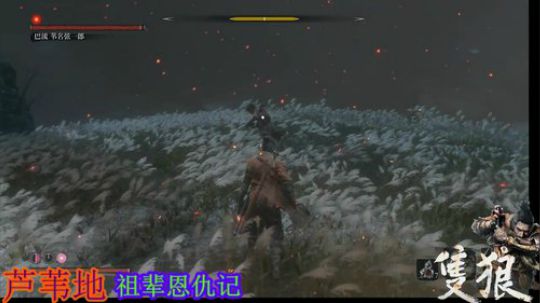 只狼~电光石火 2019-03-30 09点场