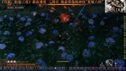 《只狼：影逝二度》二周目(難) BOSS12 弥山院圆真