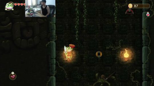 我在斗鱼看超级花美男直播主机游戏