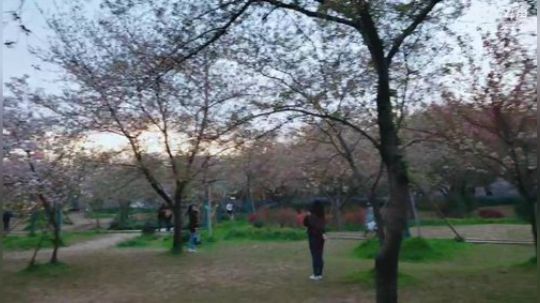 肖淑洁生命中的光和盐发布了一个斗鱼视频2019-04-01