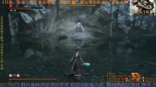 《只狼：影逝二度》二周目(難) BOSS21 (真)狮子猿