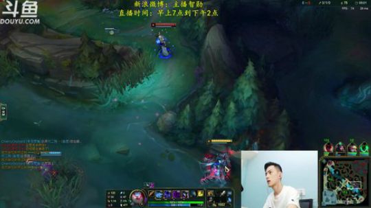 我在斗鱼看智勋勋勋勋直播英雄联盟