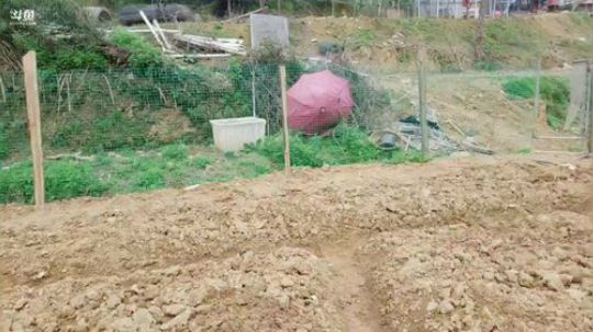 每天记得清空背包哦。 2019-04-01 14点场