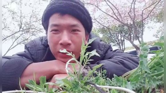 我在斗鱼看许文强户外直播户外