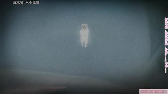 掉头发益智系列 2019-04-01 21点场