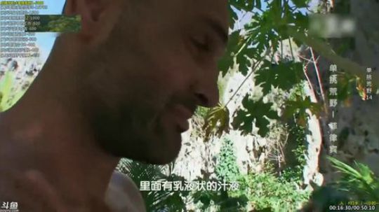 户外遛狗王飞哥发布了一个斗鱼视频2019-04-02