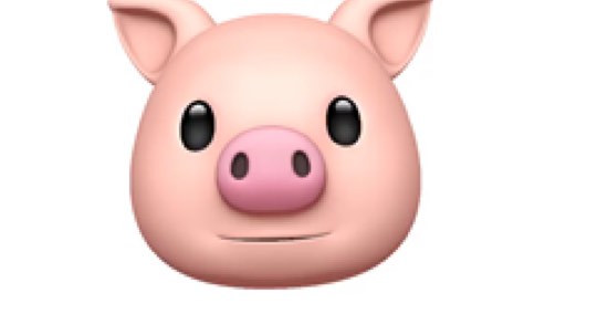 大泡泡Y发布了一个斗鱼视频2019-04-02