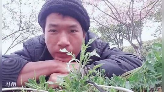 我在斗鱼看许文强户外直播户外