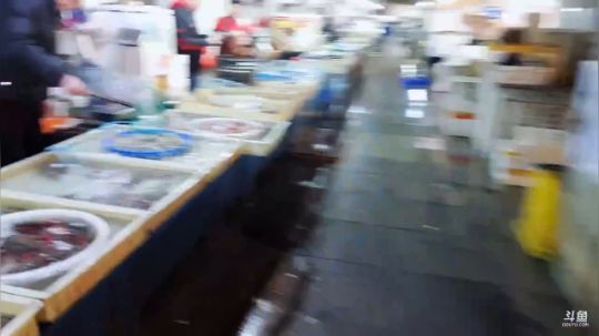 西北老狼哥哥发布了一个斗鱼视频2019-04-02