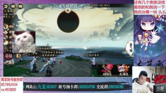 阴阳师手游 9点看更新 2019-04-02 18点场