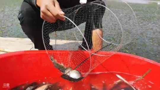 龙马精神之神笔马龙发布了一个斗鱼视频2019-04-03