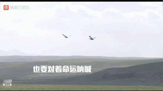 我本善良72发布了一个斗鱼视频2019-04-03