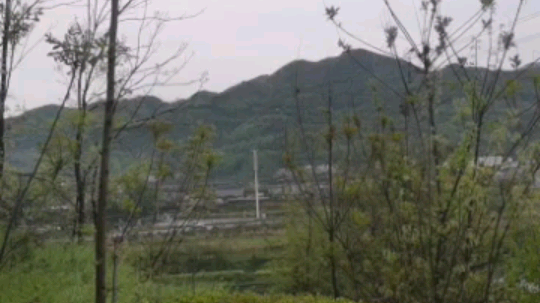 挺近大山啊