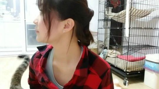 惜雨天天发布了一个斗鱼视频2019-04-02