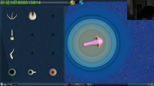 吓死你~恐怖精品系列~ 2019-04-02 21点场