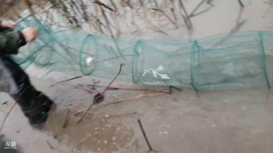 3年藕田即将干底 2019-04-02 18点场