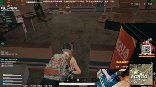 我在斗鱼看pigff直播绝地求生