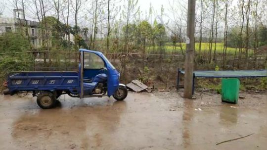 3年藕田即将干底 2019-04-02 10点场