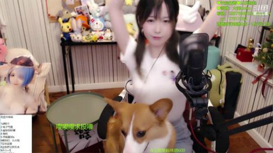 聆界之人发布了一个斗鱼视频2019-04-03