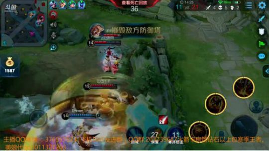 疯狂带粉上分 4441739 2019-03-27 13点场