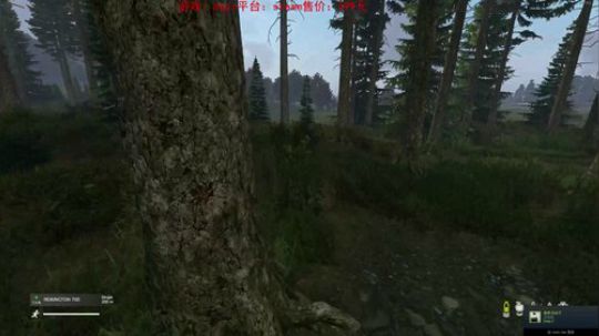 dayz僵尸末日 840351 2019-04-03 17点场