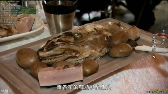 户外遛狗王飞哥发布了一个斗鱼视频2019-04-04