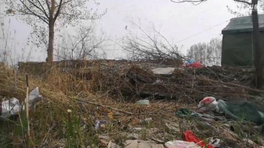 我本善良72发布了一个斗鱼视频2019-04-04