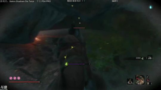 只狼 死两次是么？ 2019-04-04 14点场