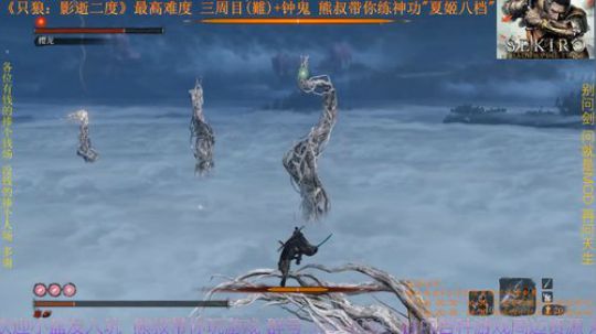 只狼 三周目(難)+钟鬼 BOSS40 (真)樱龙