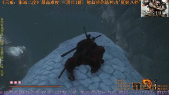 《只狼：影逝二度》三周目(難) BOSS31 大蛇丸之死