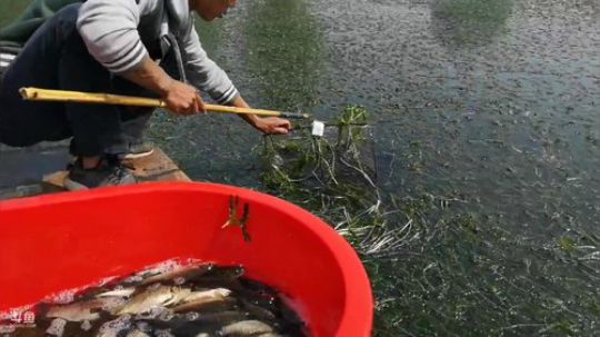 哆啦爱梦梦发布了一个斗鱼视频2019-04-06