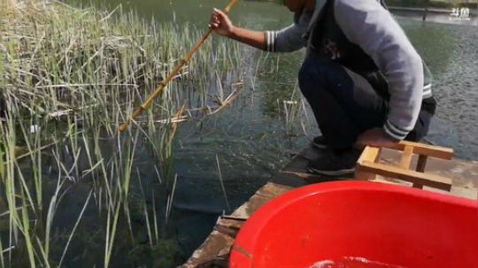 哆啦爱梦梦发布了一个斗鱼视频2019-04-06