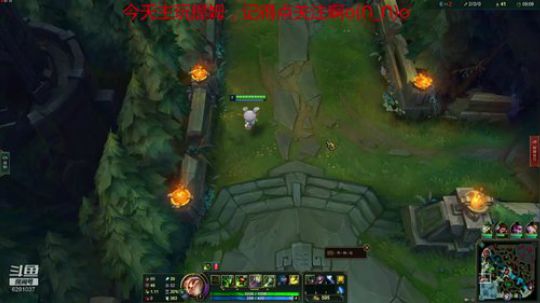 上单提姆VS诺手，长手打短手，应该怎么玩？