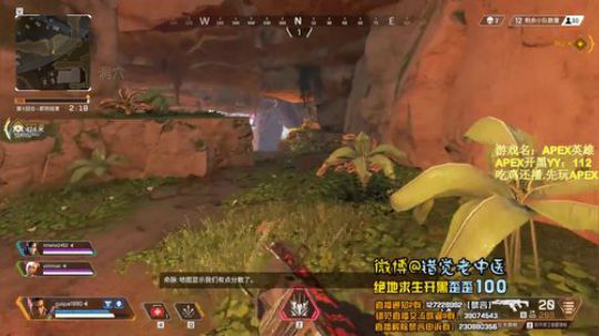 【错觉老中医】APEX11杀吃鸡，第一章