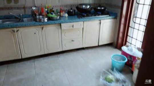 闹闹可遇不可求发布了一个斗鱼视频2019-04-07