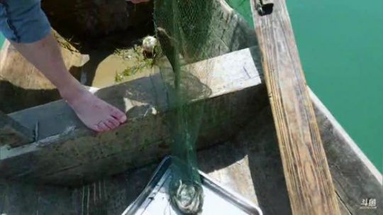 讲个笑话大哥二哥生存 2019-04-07 11点场