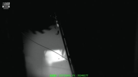 【嗨皮】今天玩会其他的 2019-04-07 00点场