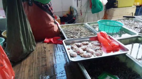 西北老狼哥哥发布了一个斗鱼视频2019-04-07