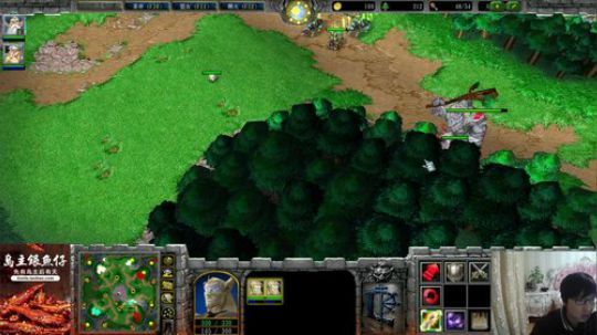 我在斗鱼看大帝LioN直播魔兽争霸